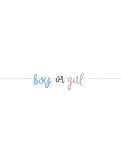 Guirnalda “Boy or Girl“ Gender Reveal - Blue or Pink - Unique | Funidelia