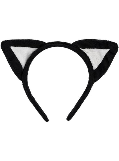 Kit accesorios de gato - Funiglobal | Funidelia