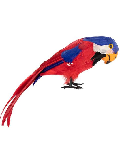Loro pirata - Funiglobal | Funidelia