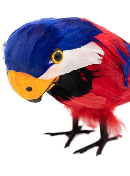 Loro pirata - Funiglobal | Funidelia