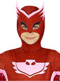 Máscara Buhíta PJ Mask - Funiglobal | Funidelia