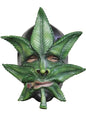 Máscara de Weed - Ghoulish | Funidelia