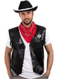 Pañuelo vaquero - Funiglobal | Funidelia