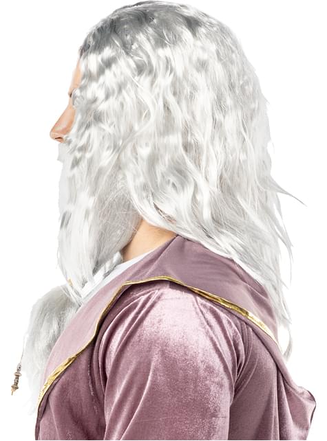 Peluca de Dumbledore con barba - Harry Potter - Funiglobal | Funidelia