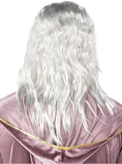 Peluca de Dumbledore con barba - Harry Potter - Funiglobal | Funidelia