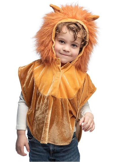 Poncho de león para niños - Boland | Funidelia