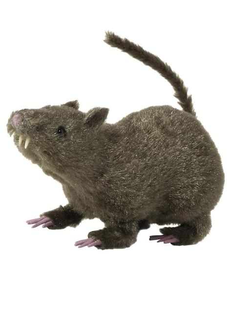 Rata peluda marrón