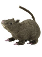 Rata peluda marrón
