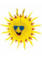 Sol decorativo de panel de abeja