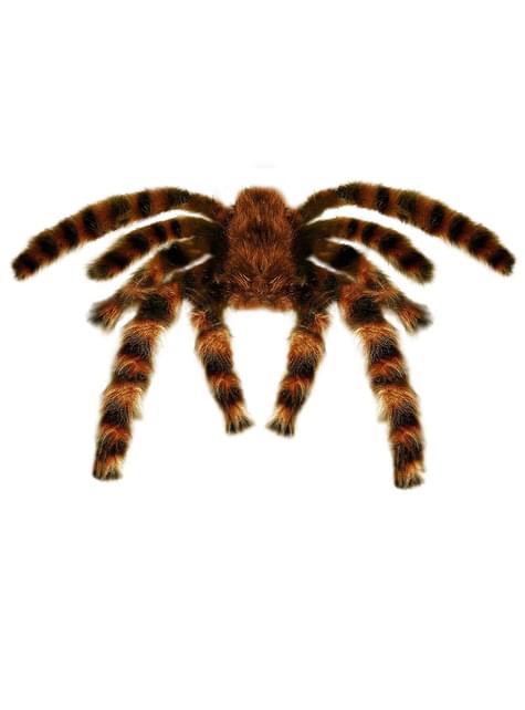 Tarántula moldeable de 65 cm.