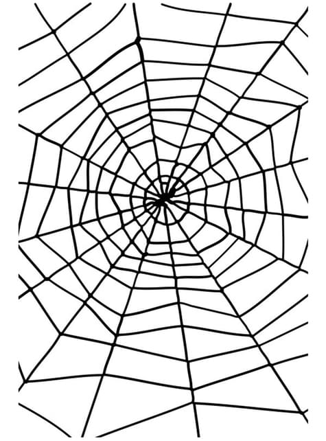 Telaraña negra - Smiffys | Funidelia